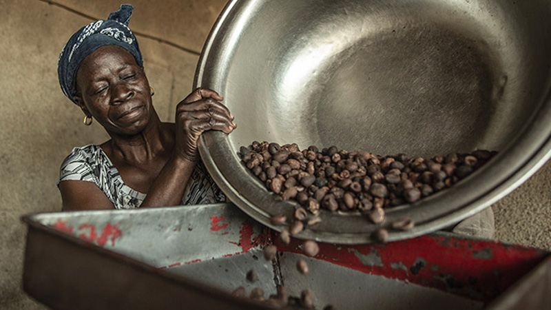 ADDISE jeune femme du BURKINA FASO en train de préparer le café pour être torréfié.